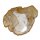 Baumscheibe versteinerte Holz Scheibe aus Madagaskar ca. 100-120 mm ca. 150 Millionen Jahre