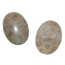 Koralle versteinert Cabochon auch Petoskey Stein genannt einseitig poliert ca. 30 x 20 mm
