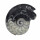 Goniatit versteinertes Fossil (Ammonit) fossiles Gehäuse eines Kopffüßlers ca. 50 - 60 mm