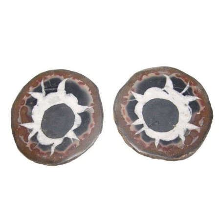 Septarie Paar aufgeschnittene Geode mit interessanter Zeichnung Größe M: ca. 30-40  mm