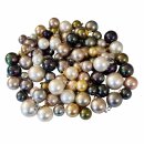 Muschelkern Perlen verschiedene Farben gebohrt ca. 8 - 24...