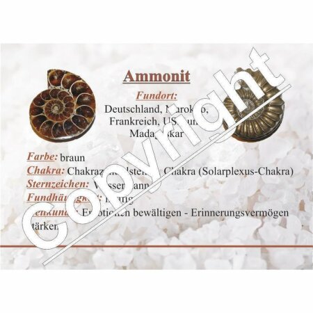Ammonit PAAR Anhänger mit silberfarbiger Fassung und Öse ca. 25 - 40 mm 
