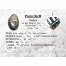 Paua Shell Muschel Anhänger rund mit Clip und Band...