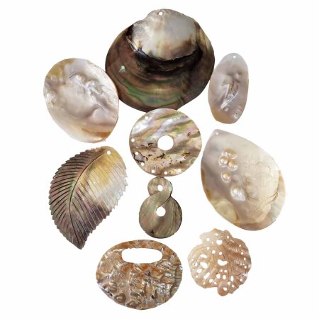 Muschel Anhänger mit Bohrung verschiedene Formen