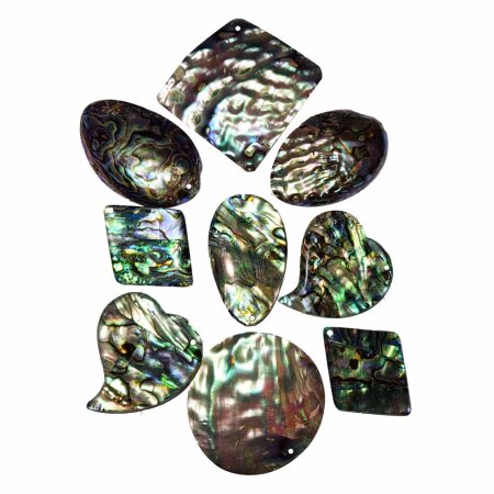Paua Shell gebohrte Anhänger verschiedene Formen ca. 50 - 70 mm , Bohrung ca. 1 mm