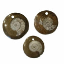 Ammonit in Matrix Anhänger rund flach ca. 30 - 40 mm...